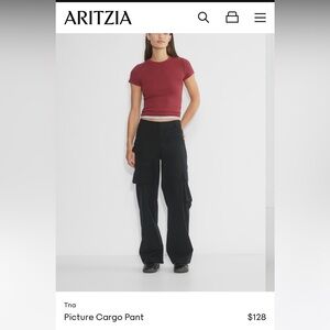 Brand new with tags tna aritzia picture pant